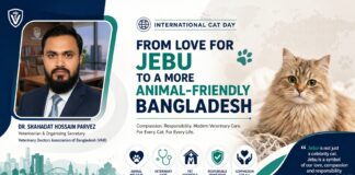 International Cat Day: From Love for Jebu to a More Animal-Friendly Bangladesh