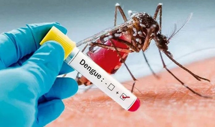 Screenshot 2026-09-08 at 22-20-09 71 dengue patients hospitalised in Ctg Health News